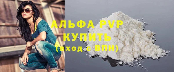индика Бугульма