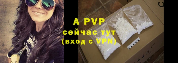 индика Бугульма