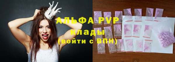 индика Бугульма