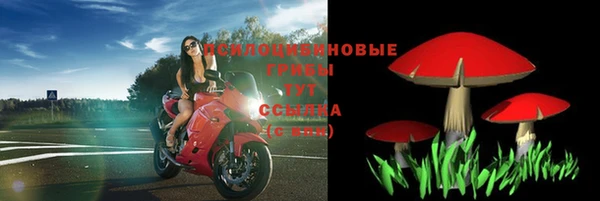 индика Бугульма