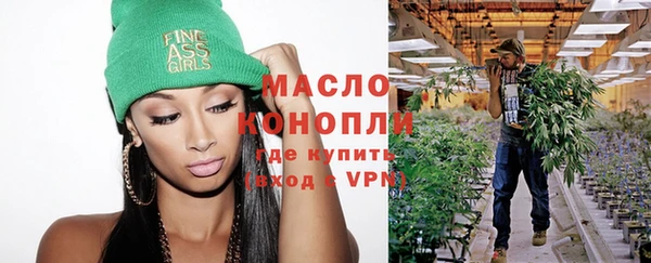 индика Бугульма