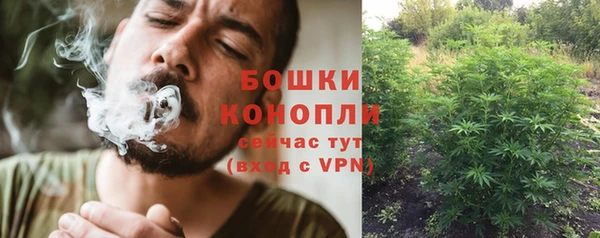марки lsd Бородино