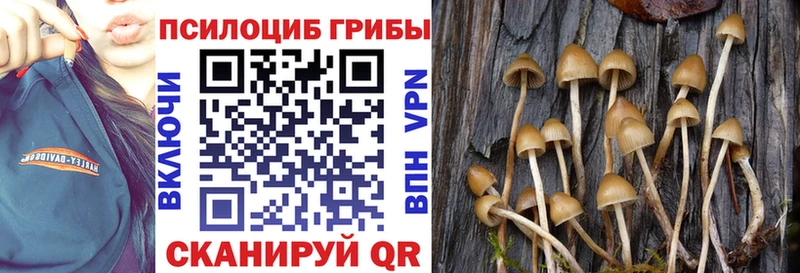 Псилоцибиновые грибы GOLDEN TEACHER  закладка  omg сайт  Каневская 